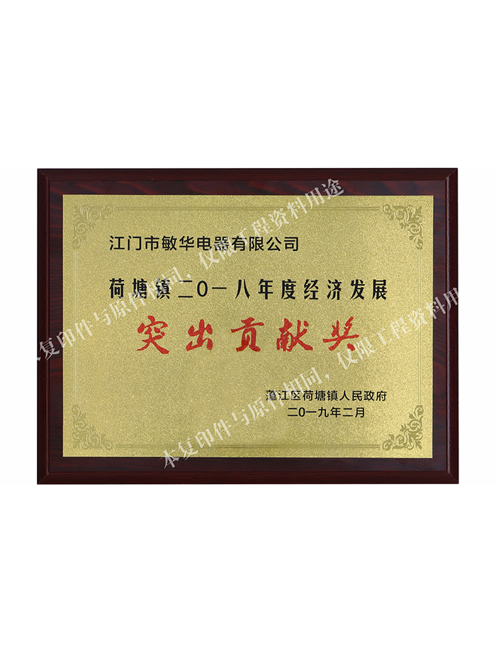 2018年度经济发展突然贡献奖