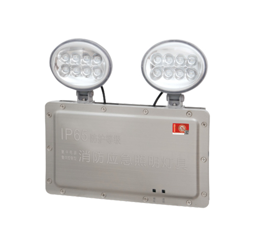 敏华防水型双头应急照明灯双头应急灯A型DC24V 36V M6025(M-ZFJC-E3W6025)集电集控防水双头灯
