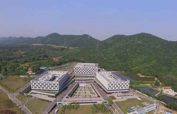 南京市公共卫生医疗中心