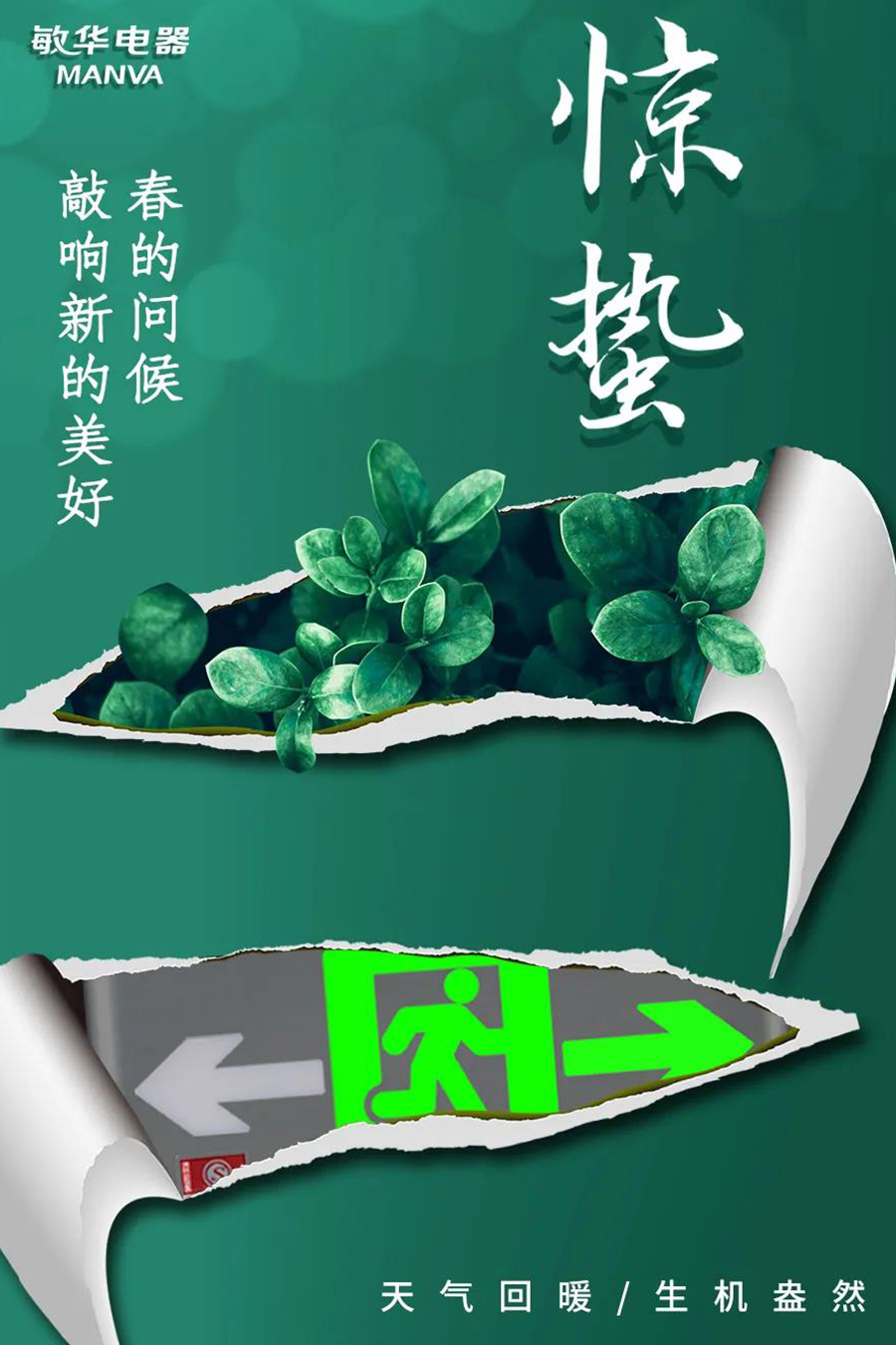 今日惊蛰 万物复苏!