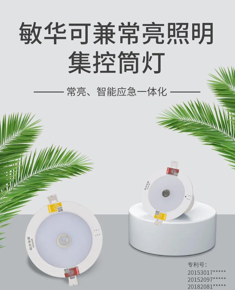 敏华可兼常亮照明集控筒灯