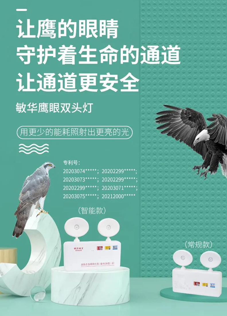 鹰眼消防灯诞生