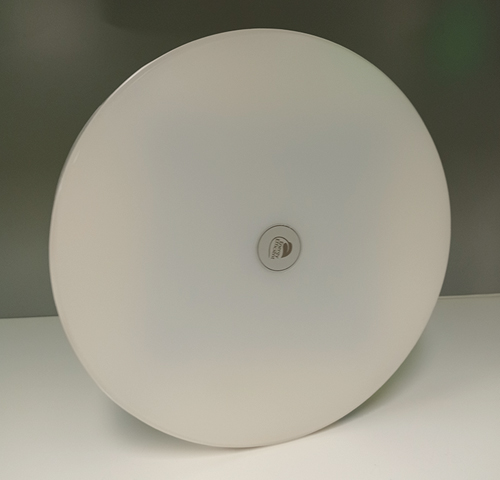 敏华A型集中电源智能疏散应急照明系统260mm圆形不感应吸顶灯M6064(M-ZFJC-E12W6064)